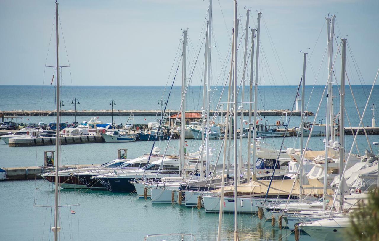 Luxury Apartments Novigrad Novigrad Istria Exteriör bild